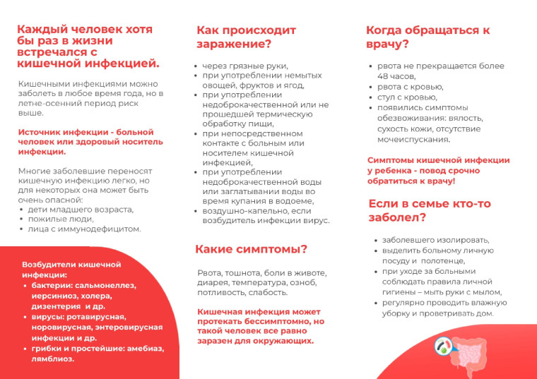 Профилактика острых кишечных инфекций в образовательных организациях.