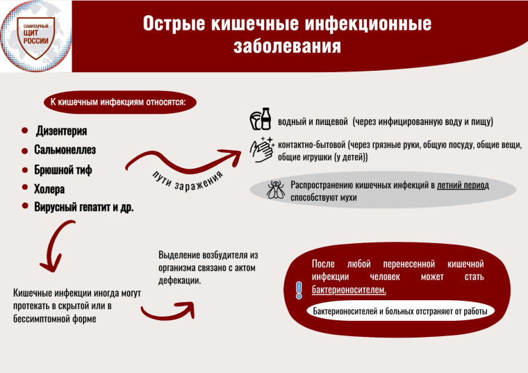 Профилактика острых кишечных инфекций в образовательных организациях.